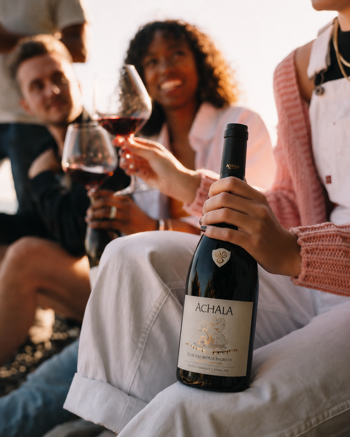 Amigos brindando con Achala Clos del Molle Ingrato Syrah